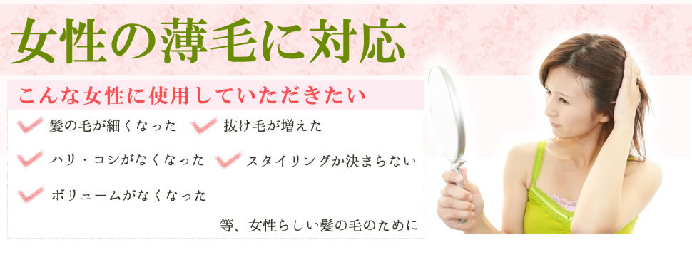 ��������, �R�[�X, ����, ����